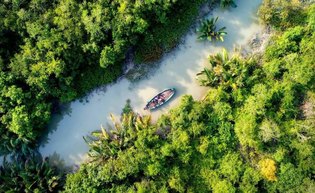 Sundarban